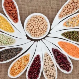 Organic Pulses Export from India