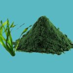 Spirulina powder
