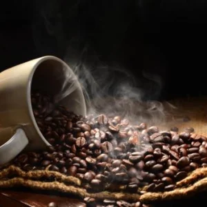 Gano Coffee Export from India