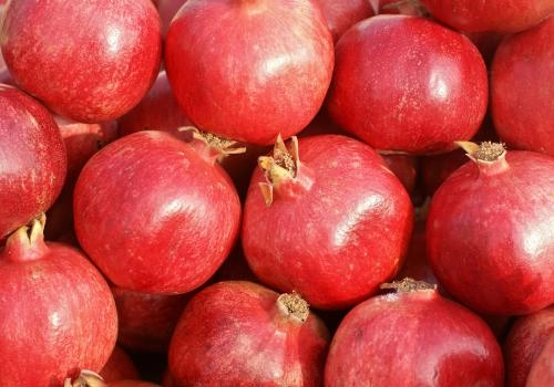 Home-new Pomegranate Export from India