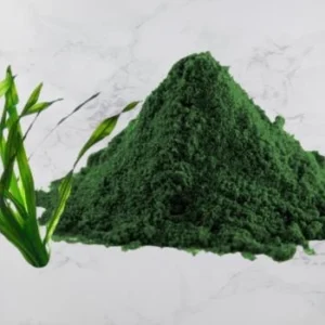 Spirulina Powder Export from India